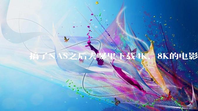 搞了NAS之后去哪里下载4K，8K的电影？