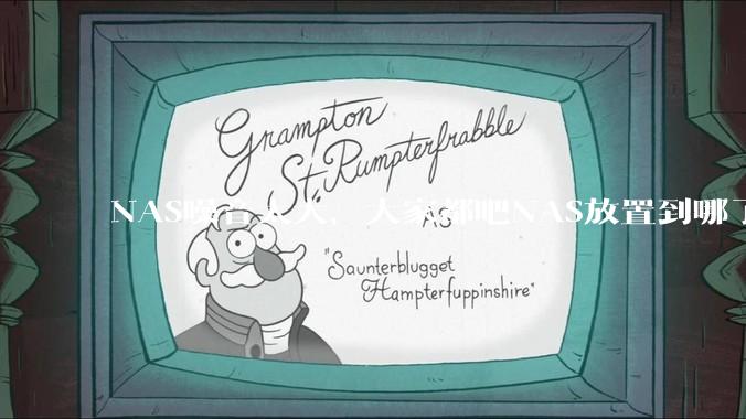 NAS噪音太大，大家都吧NAS放置到哪了？