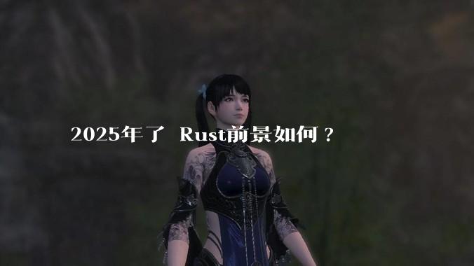 2025年了 Rust前景如何?