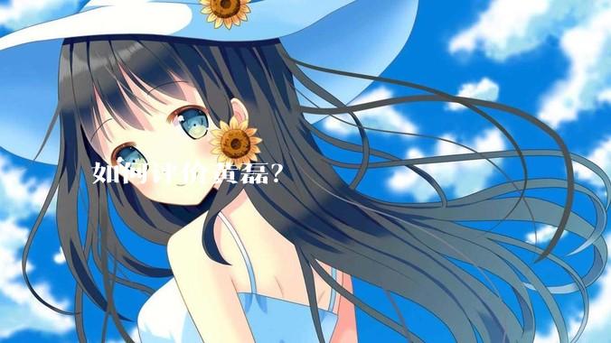 如何评价黄磊？