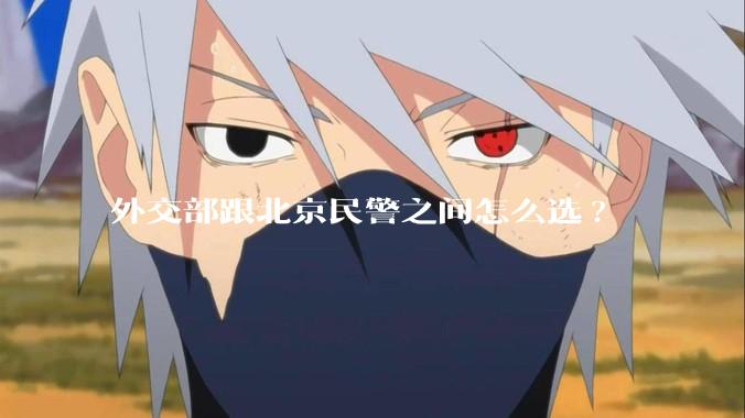 外交部跟北京民警之间怎么选?