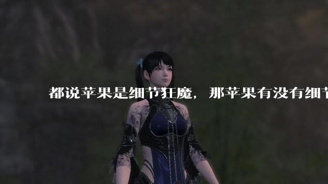 都说苹果是细节狂魔，那苹果有没有细节其实做的很差的点？