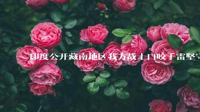 印度公开藏南地区我方战士口咬手雷坚守的***，是想表达什么？