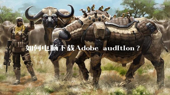 如何电脑下载Adobe audition?