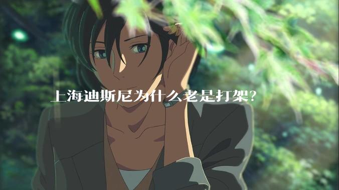 上海迪斯尼为什么老是打架？