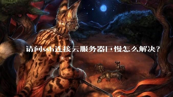 请问ssh连接云服务器巨慢怎么解决？